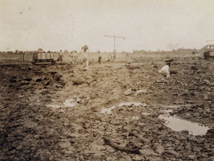 Extracting asphalt from the Pitch Lake. Labourers load lumps of asphalt extracted from Trinidad's