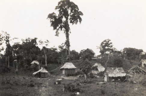 A rural village in the Caribbean. A number of small thatched huts on stilts dot the landscape in a