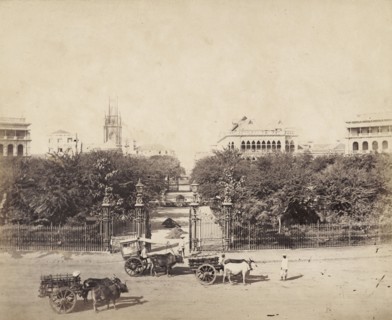 Entrance to the Horniman Circle Gardens. Cattle-drawn carts stand outside ornate iron gates at the