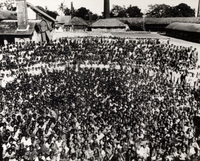 Steel Brothers' workforce. A huge group photograph of the largely Indian workforce at Steel