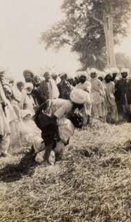 Wrestling match in Sukkur . A crowd of spectators gathers to watch a wrestling match in a grassy