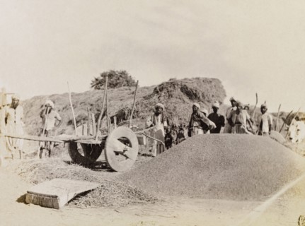 Indian farm labourers in Sukkur. Indian farm labourers pause to stare at the camera beside a large