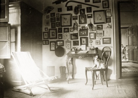 The drawing room at Penshew House. A pet dog sits on a chair in the drawing room in Penshew House,