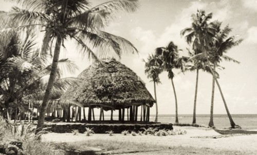 A traditional Samoan 'fale'. A traditional Samoan 'fale' (house) stands between palm trees on a