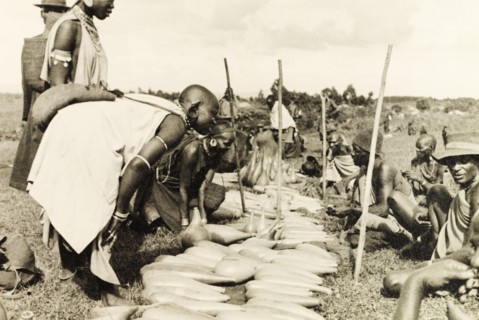 Gourd stall at Karatina market. Shoppers haggle with Kikuyu traders over slender, hollow gourds at