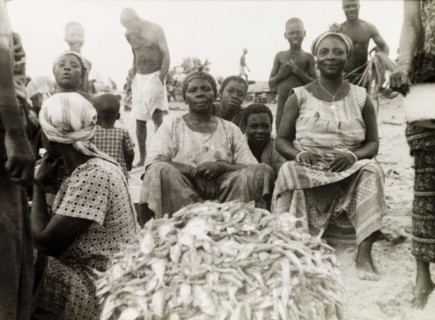 Fish stall at a Ghanaian market. Female traders sit beside a pile of freshly caught fish at a