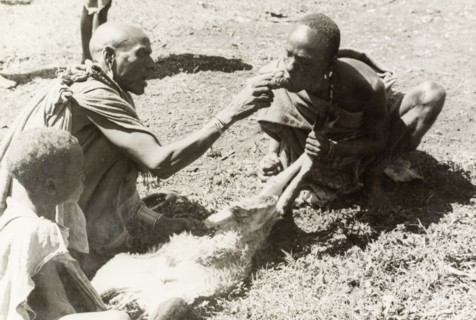 Kikuyu purification ceremony. A Kikuyu witch doctor performs a traditional purification ceremony to