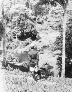 In the gardens of the Royal Lodge, Nyeri. A uniformed man looks out over the Sagana River as it