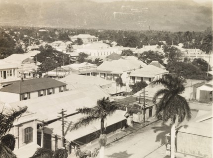 Kingston, Jamaica. View over the rooftops and trees at the Jamaican capital city of Kingston.