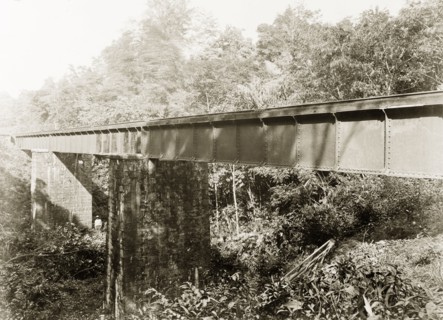 Railway bridge crossing Dabadie ravine, Trinidad. View of a Trinidad Government Railway bridge