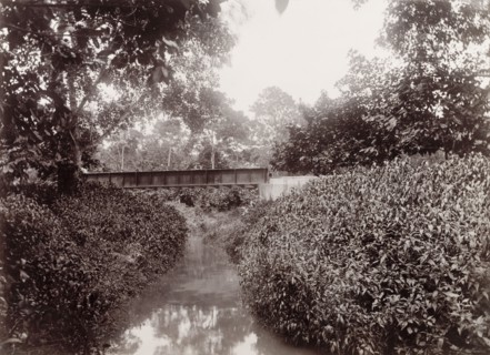 Railway bridge over Caparo River, Trinidad. View of extension railway bridge 'No. 29' crossing over