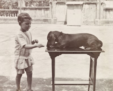 James Murray with pet dachshund. Six year old James Murray shows off his prize-winning dachshund,