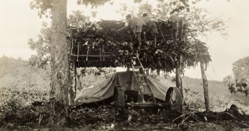 Building a garage, Tanganyika. Three African men construct a thatched roof for a garage, under
