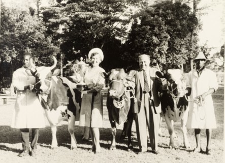 Ayrshire cattle at the Royal Show. Mrs Kit Robathan and Mr Richie Barbour pose with prize-winning