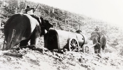 Elephants hauling a locomotive boiler. Two elephants haul a wheeled locomotive boiler up a