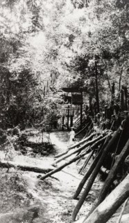 Elephant kraal, Ceylon. View along the stockade of an elephant kraal (enclosure), into which wild