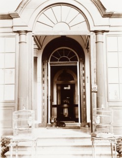Porch of a grand, colonial house. The grand, pillared entrance to a colonial household. A pet dog