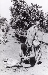 Kikuyu purification ceremony. A Kikuyu witch doctor performs a traditional purification ceremony to