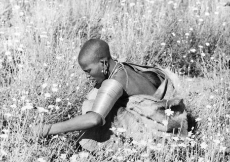 Picking pyrethrum on a Kenyan farm. A Kikuyu woman wearing traditional dress and jewellery picks