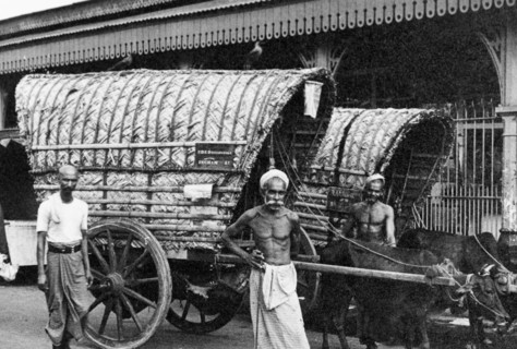 Two covered carts, Ceylon. Three men pose for the camera beside two covered bullock carts. A sign