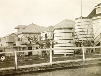 Water butts in a colonial garden, Belize. The rear garden of a colonial house, containing a chicken