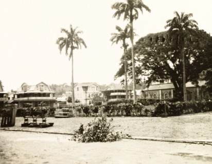 Park benches in St Lucia. Two park benches on a patch of open ground, either a park or garden, are
