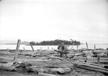 Elephant working in a timber yard. An elephant, under the direction of its mahout (elephant