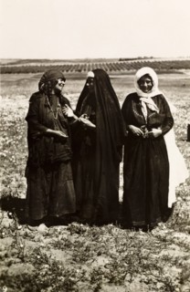 Palestinian bedouin women. Portrait of three Palestinian bedouin women standing in open