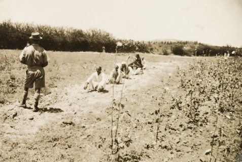 Identification parade, Palestine. A British police dog handler oversees a seated line up of