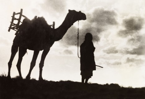 Silhouetted man and camel. The figure of a Arab man leading a camel along a ridge is silhouetted in