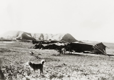 Bedouin tents in the Judean desert'. A bedouin camp site in the Judean desert. Judea, British