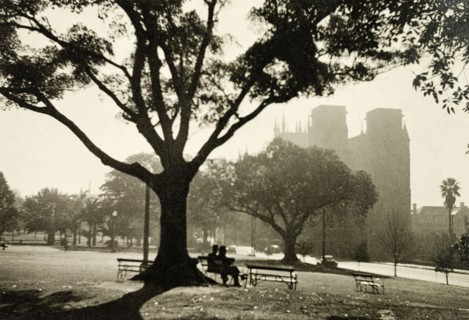 Hyde Park, Sydney. View of Hyde Park in Sydney, looking west towards the central business district.