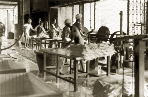 Interior of a rubber factory, British Malaya. Factory workers operate machinery to produce sheets