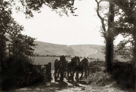 Day's Work Done'. Three Shire horses tow a plough through a field gate at Bo-peep Farm after a day