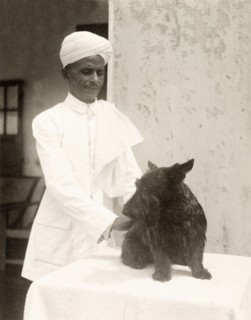 One in a Thousand'. Portrait of an Indian head bearer named Bal Singh, employed by British