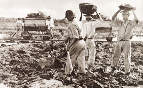 Extracting asphalt from the Pitch Lake. Labourers dig lumps of asphalt from the Pitch Lake and load