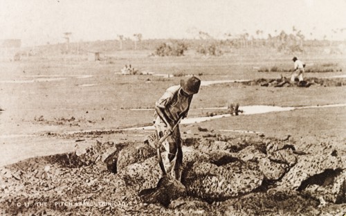 Extracting asphalt from the Pitch Lake. A labourer uses a pickaxe to extract lumps of asphalt from