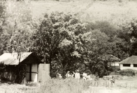 Maskal Maradi' coffee estate. View of 'Maskal Maradi' coffee estate in the mountains of Chikmagalur