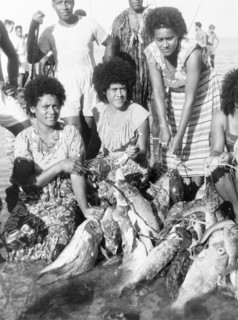 Fruits of a fish drive. A group of Fijian women display a catch of at least twenty multi-coloured