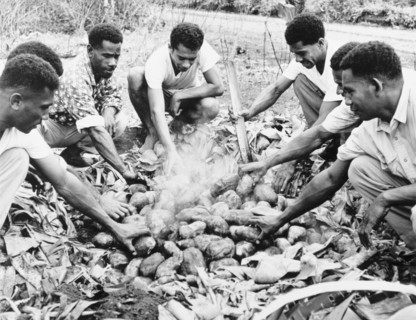 Cooking sweet potatoes in a 'lovo'. A group of men prepare for a feast by packing sweet potatoes