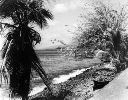 Dominica coastline. Waves crash against a steep, pebbled beach. Dominica, 1965., Dominica,