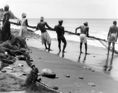 Hauling in the nets, Grenada. A line of men and women haul in their fishing nets on a sandy beach