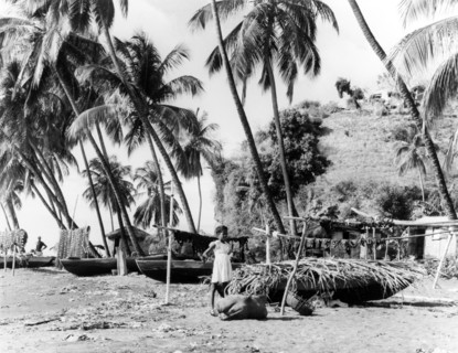 Fishing beach in St Vincent . Fishing boats rest below palm trees on a sandy beach in St Vincent.