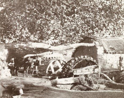 Ox driven water wheel. Farm workers oversee two oxen as they walks in circles to turn the wooden