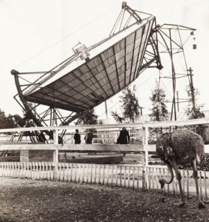 Solar powered ostrich farm. A huge solar power dish towers over an enclosure at an ostrich farm.