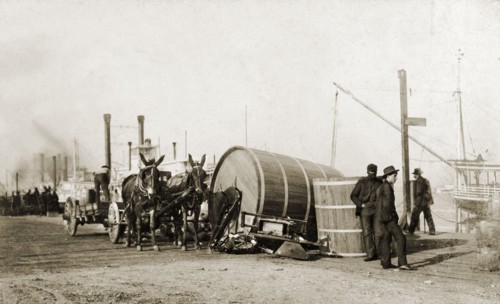 On the levee, New Orleans. A mule-drawn cart travels along a levee on the banks of the Mississippi