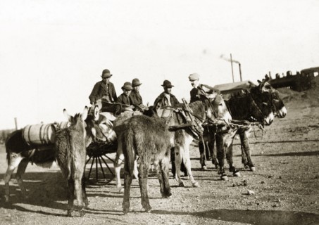 Mexicans travelling in a mule-drawn cart. A group of Mexicans travel along a rural road in a