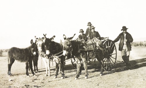 Mexicans travelling in a mule-drawn cart. A group of Mexicans travel along a rural road in a
