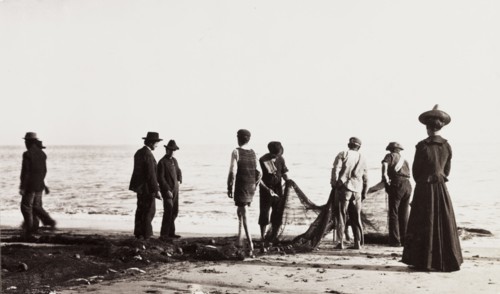 Fishermen haul in a seine, California. Fishermen haul in a seine (fishing net) on a Californian