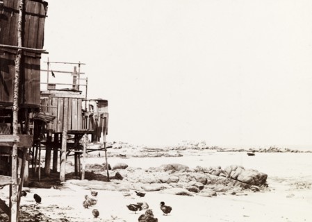 Chinese settlement at Soquel. Stilted wooden huts belonging to a Chinese settlement stand on the